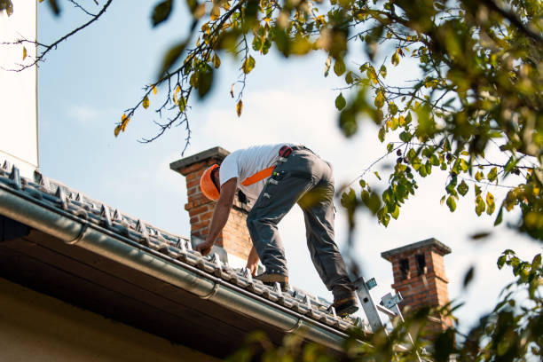 Best Roof Maintenance Services  in Darlington, WI