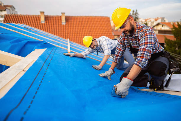Best Metal Roofing Contractor  in Darlington, WI